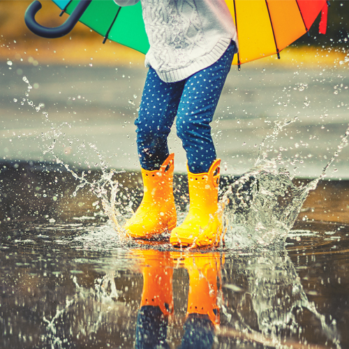 Advies Omgeving & Duurzaamheid